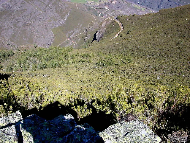 DSCN7965 DSCN7965