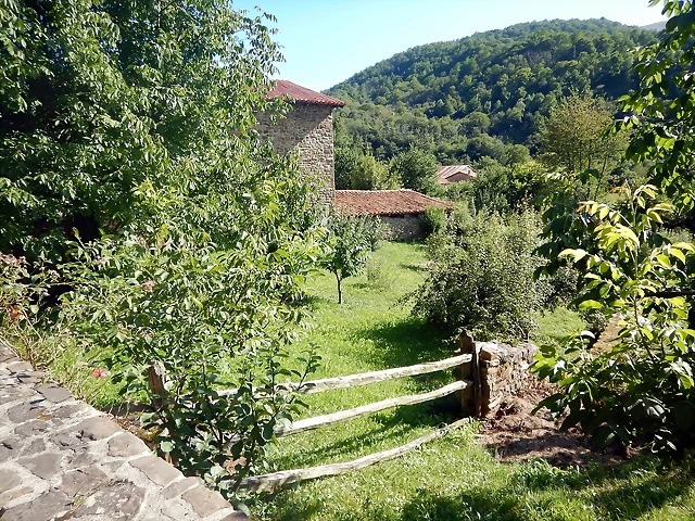 DSCN8665 DSCN8665