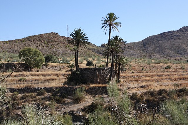 029, noria cortijo las tejas