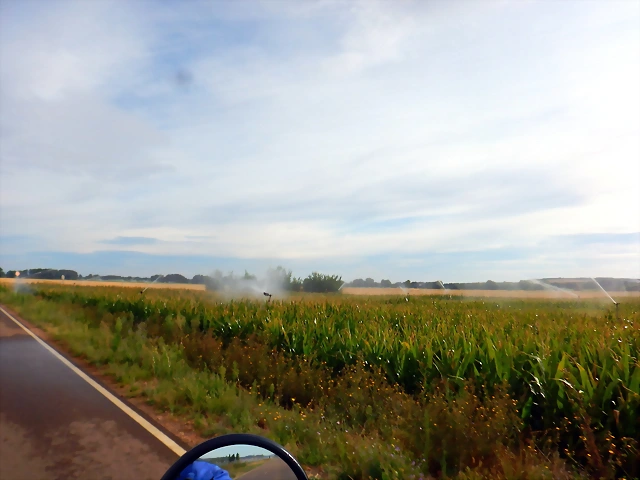 DSCN6695 DSCN6695