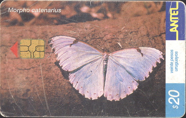 MARIPOSA12