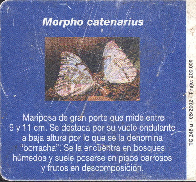 MARIPOSA012