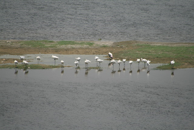 IMG_2540 IMG_2540