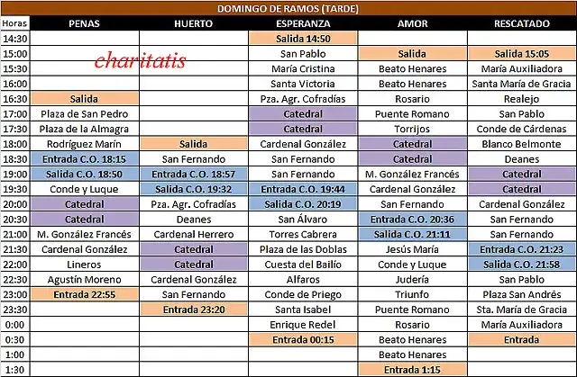 Domingo de Ramos (tarde) copiar