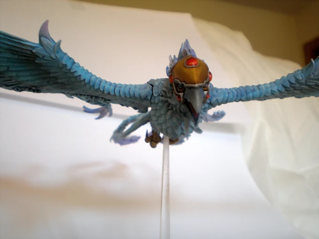 FENIX BUENO (10)