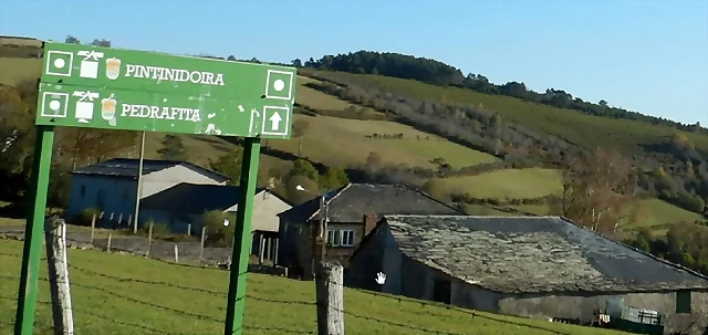 DSCN8573 DSCN8573
