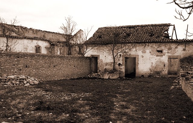 OLVERA SEPIA 018B