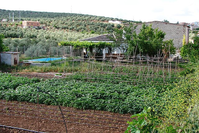 cortijo de Garrido