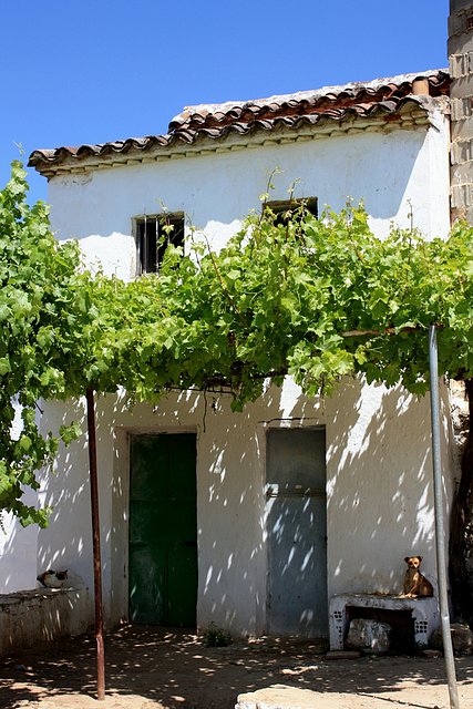 cortijo de Merino