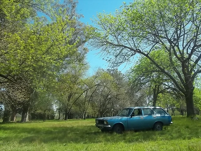 100_1394 100_1394