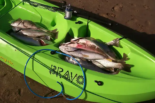 pesca El Remanso