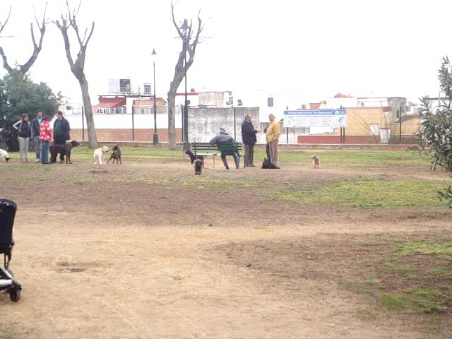 foro-Parque para perros en Huelva-15.02.14-J.Ch.Q 11
