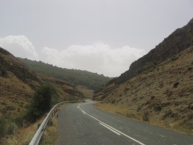IMG_0563 IMG_0563