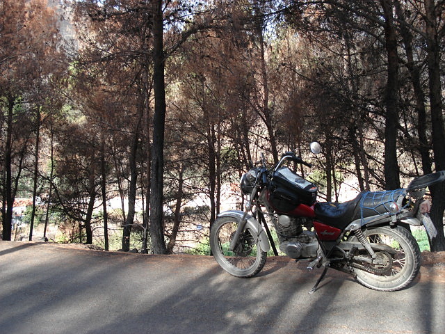 LAGUNASECA 005