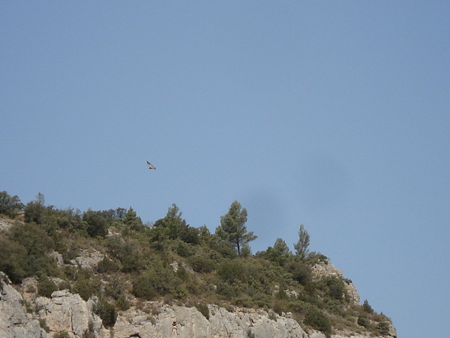 LAGUNASECA 011