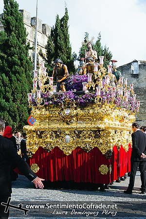IMG_0803 IMG_0803