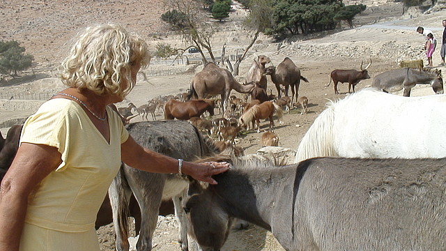 DSC05880 DSC05880