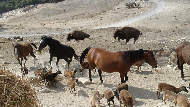 DSC05946 DSC05946
