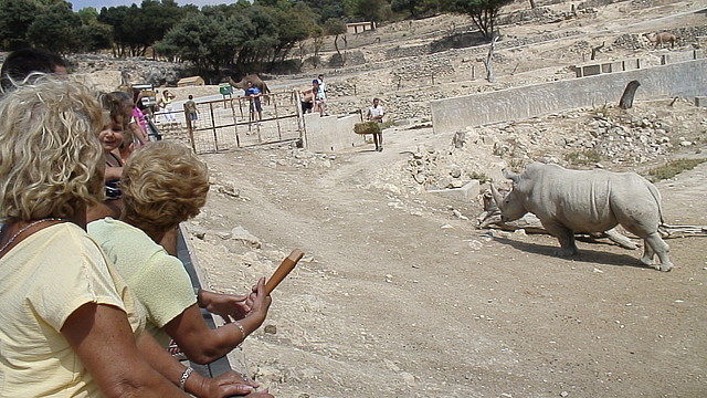 DSC05870 DSC05870