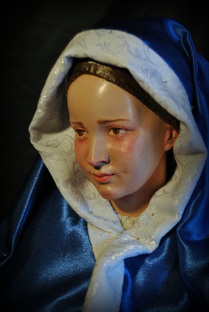 DSC_3201 DSC_3201