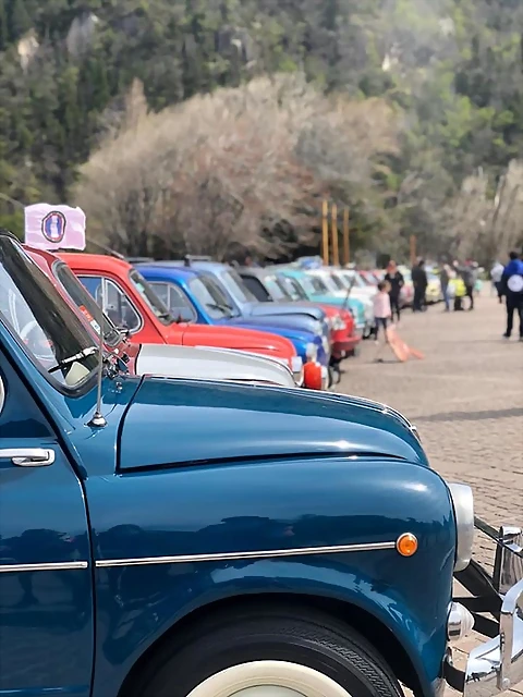 72639251_10215669787763370_2563087717470568448_n 72639251_10215669787763370_2563087717470568448_n