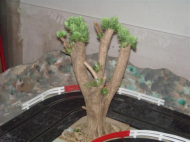 Árboles (3) (Small) Árboles (3) (Small)