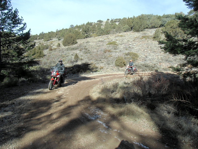 CIMG0690 CIMG0690