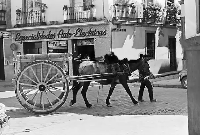 Sevilla c. Antonia Diaz