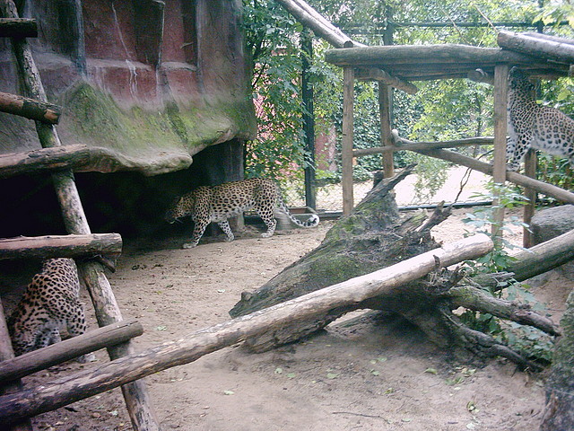 PIC03443 PIC03443