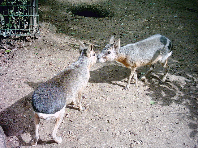 PIC03410 PIC03410