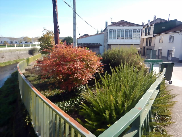 DSCN1512 DSCN1512