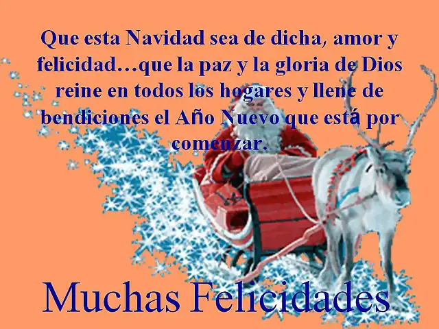 NAVIDAD 2011 - 79