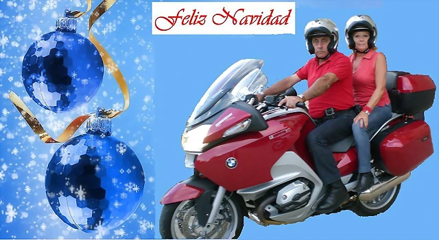NAVIDAD HALCONES NAVIDAD HALCONES
