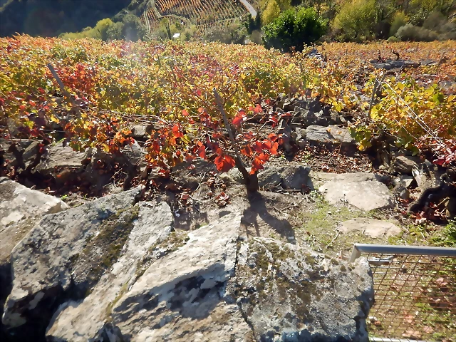 DSCN1727 DSCN1727