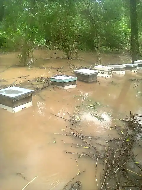 colmenas bajo agua