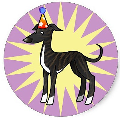 galgo_whippet_del_cumpleanos_brindle_y_blancos_pegatina-r6d6dd662c9984497a7e335c8416a66eb_v9waf_8byvr_512