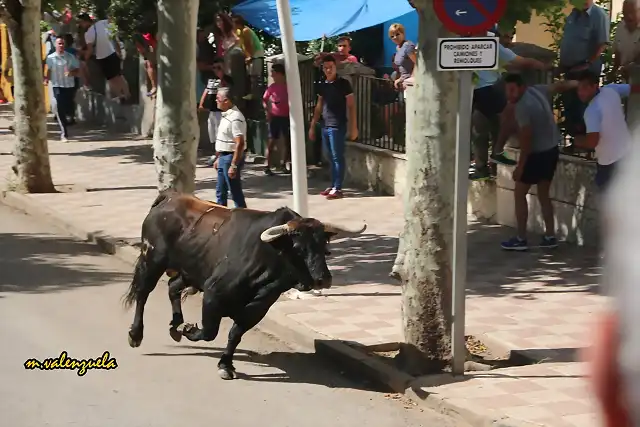 38, por la avenida 5, marca2