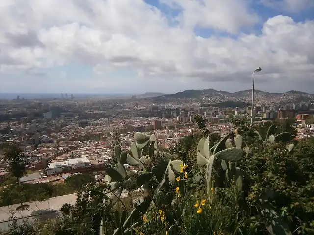 2014-05-02 (10) desde Torre Bar?