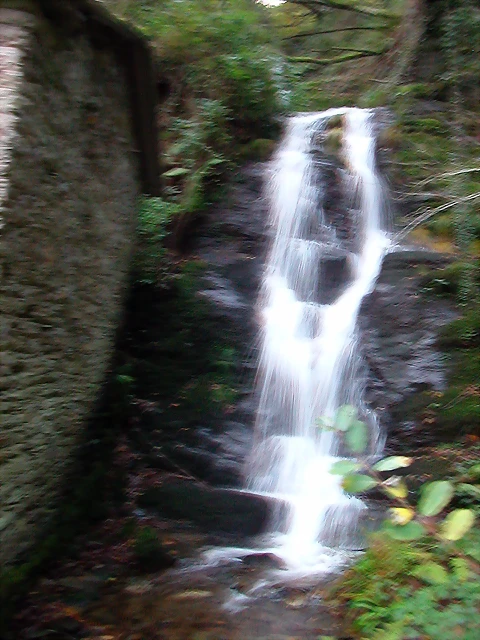 DSCN6315 DSCN6315