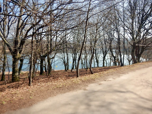 DSCN2816 DSCN2816