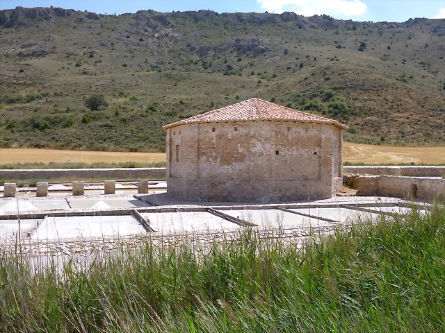 P1020687 P1020687