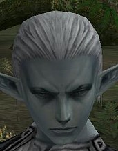 Piel Dark Elf