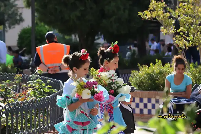 11, ofrenda de flores, marca