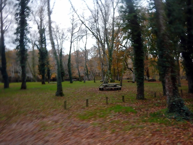 DSCN0747'6 DSCN0747'6
