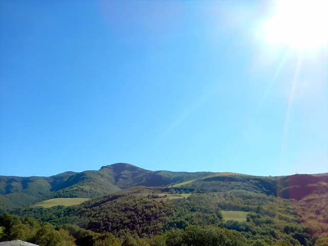 DSCN0316 DSCN0316