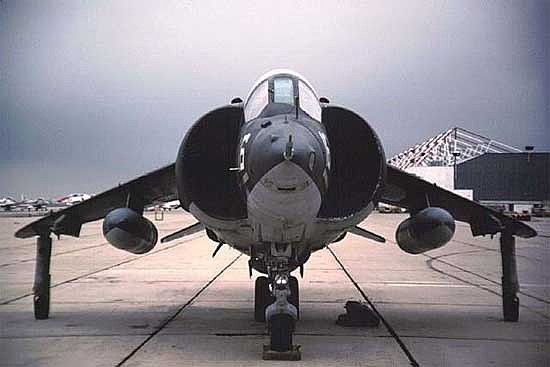 harrier