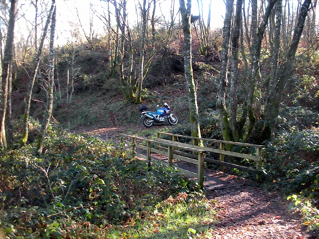 DSCN2096 DSCN2096