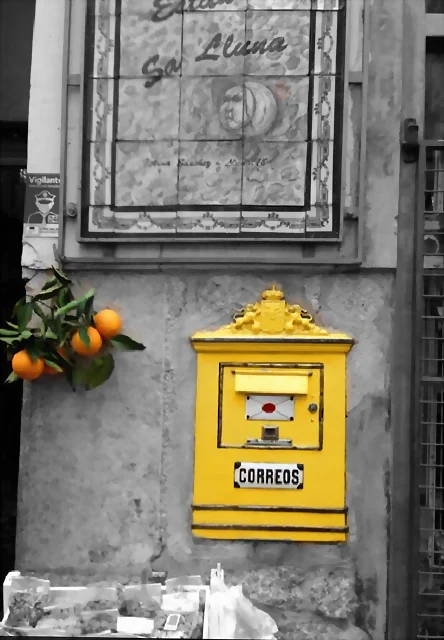 IMG_3595 IMG_3595