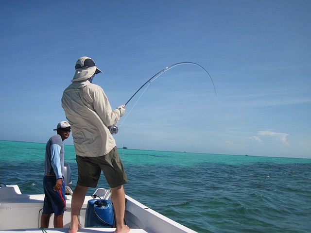 Roques 2011 - Pelea