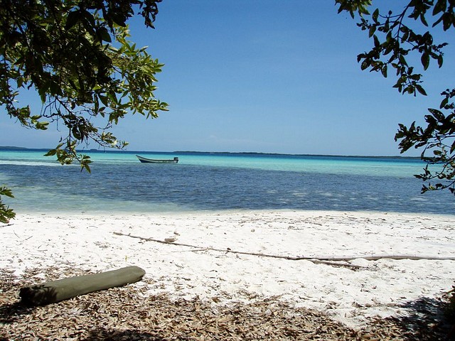 Roques 2011 - Paraiso